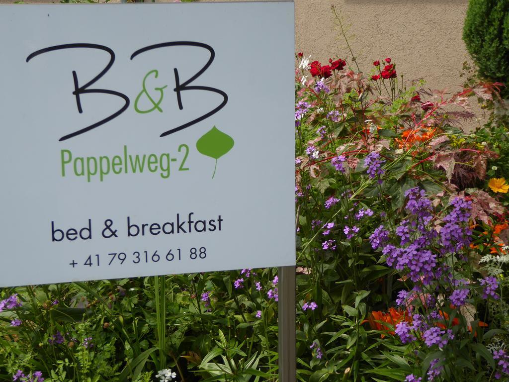 B&B Pappelweg - 2 Muttenz Buitenkant foto